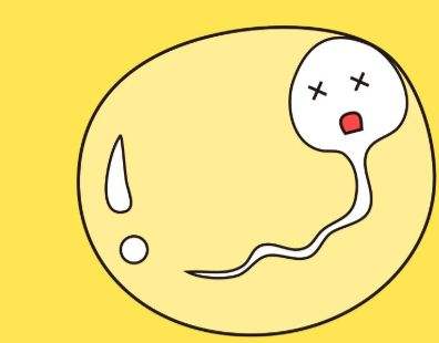 精液不液化会不会影响生育 导致精子不液化的原因有哪些