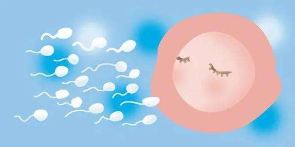 精液不液化是什么？会影响男性生育吗？