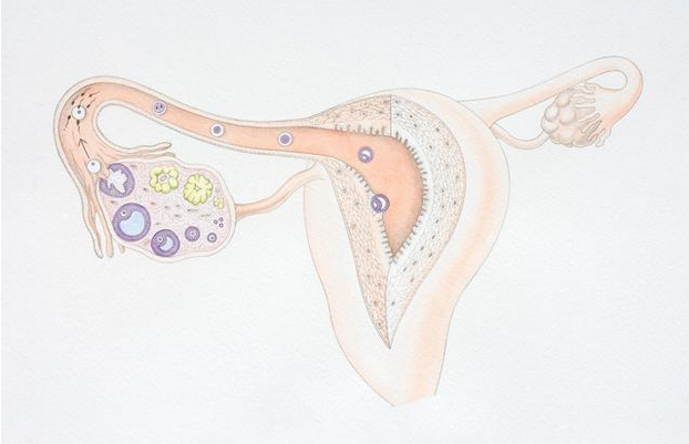 子宫肌瘤前期有什么症状表现？