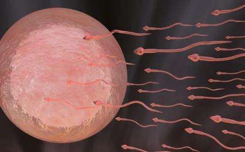 精子少怎么补，用什么方法可以让精子增多