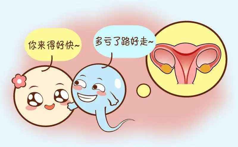 能自然怀孕就说明是正常排卵和输卵管通畅吗