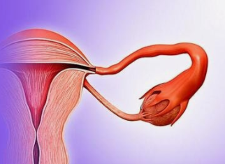 切除一侧卵巢对女性有什么影响 能怀孕吗