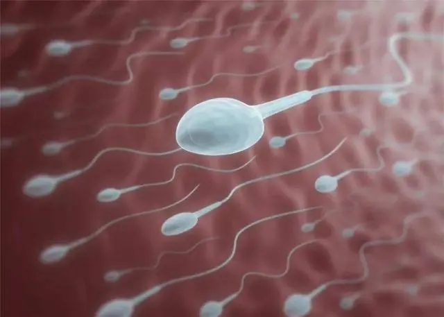 精子像水一样会影响怀孕吗?精子像水一样需要注意什么?