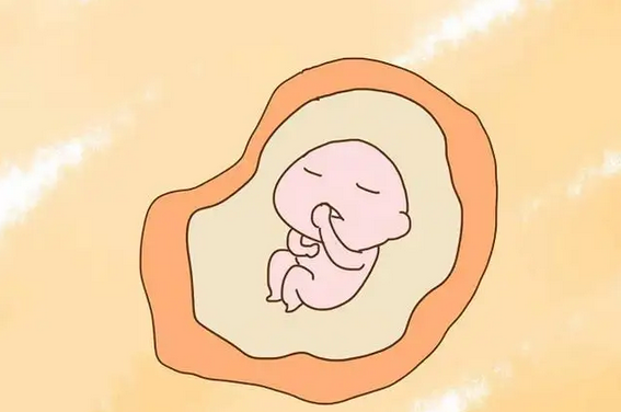 大孕囊为什么胎停风险高，胎停和孕囊大小有关系吗