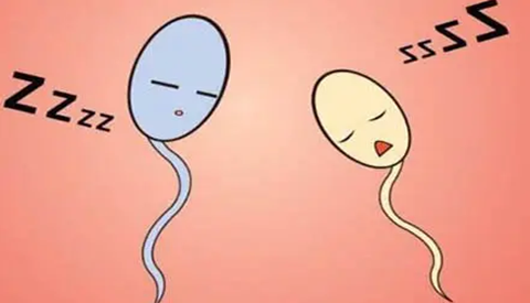 弱精怀孕了会影响胚胎质量吗
