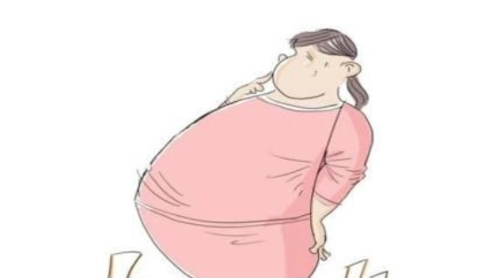 肥胖体质难孕的原因