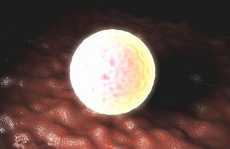 取完卵后多久可以移植囊胚，取卵后吃什么有利于卵巢恢复？