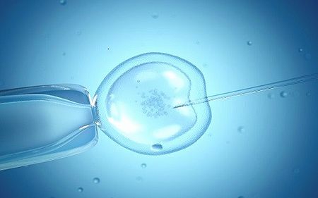 囊胚移植第4天能测出来吗，4bb囊胚移植后几天测到着床拿不准