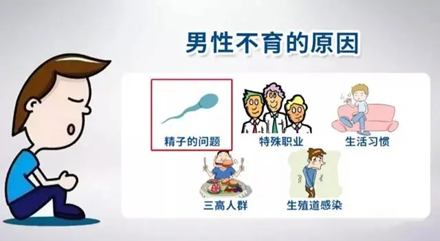 重庆哪里看男性不育医院身体肥胖会影响男性生育吗