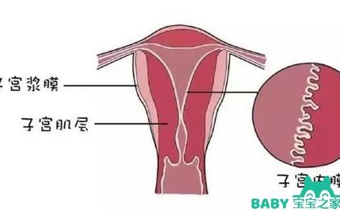 子宫内膜变薄了，该怎么办