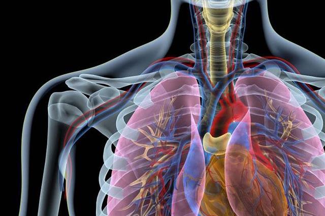 肺不好的人有10个表现，出现3个以上需要高度警惕