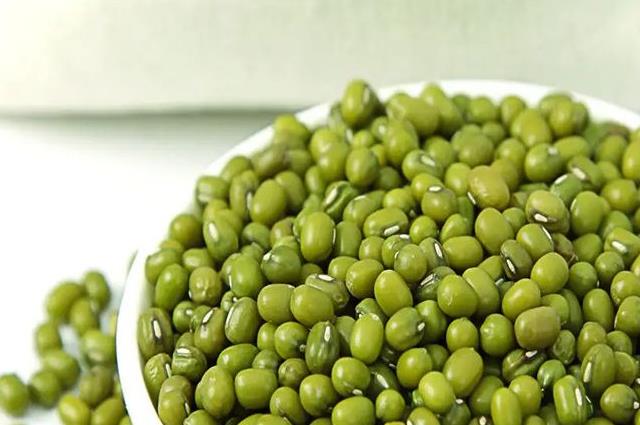 健康科普：绿豆不能和10种食物一起吃，不然会引发肠胃不适