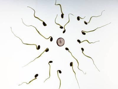 排卵期同房吃避孕药有用吗，避孕失败几天能验出来