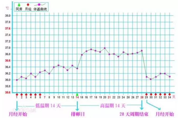 重庆送子鸟医院