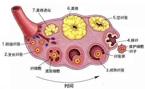 重庆送子鸟医院