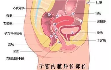 重庆送子鸟医院